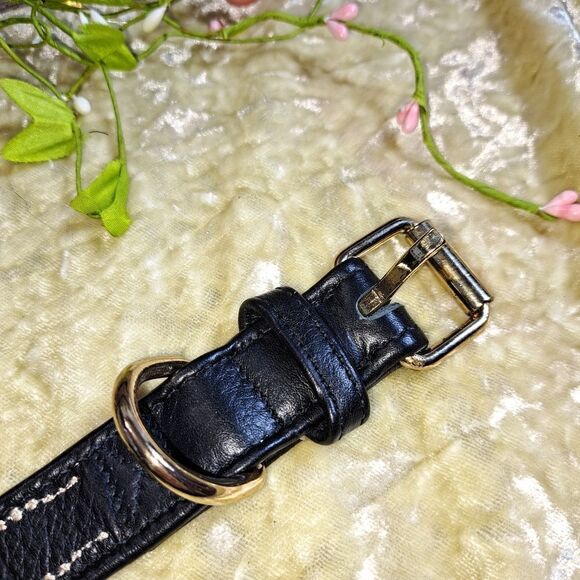 NWT Halo Dog Collar Pet collar - Picture 10 of 13